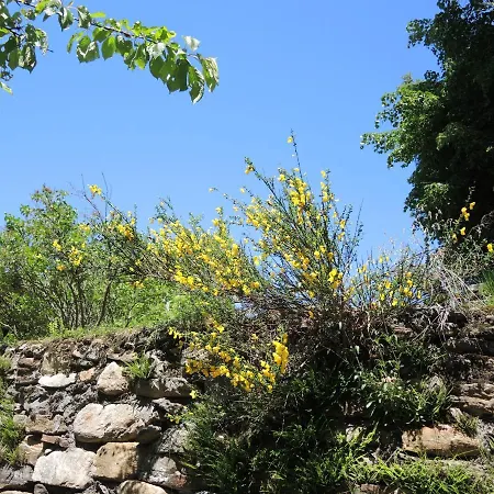Rustico Gino